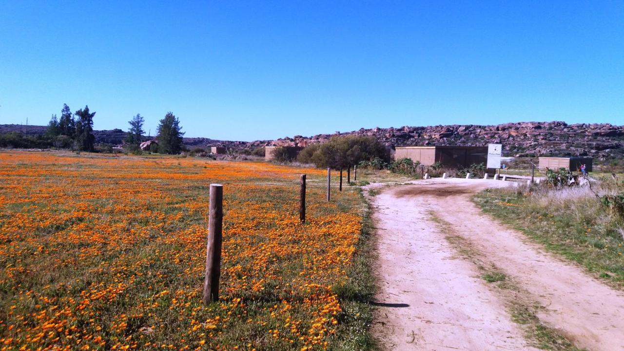 Willa Alpha Excelsior Guest Farm Clanwilliam Zewnętrze zdjęcie
