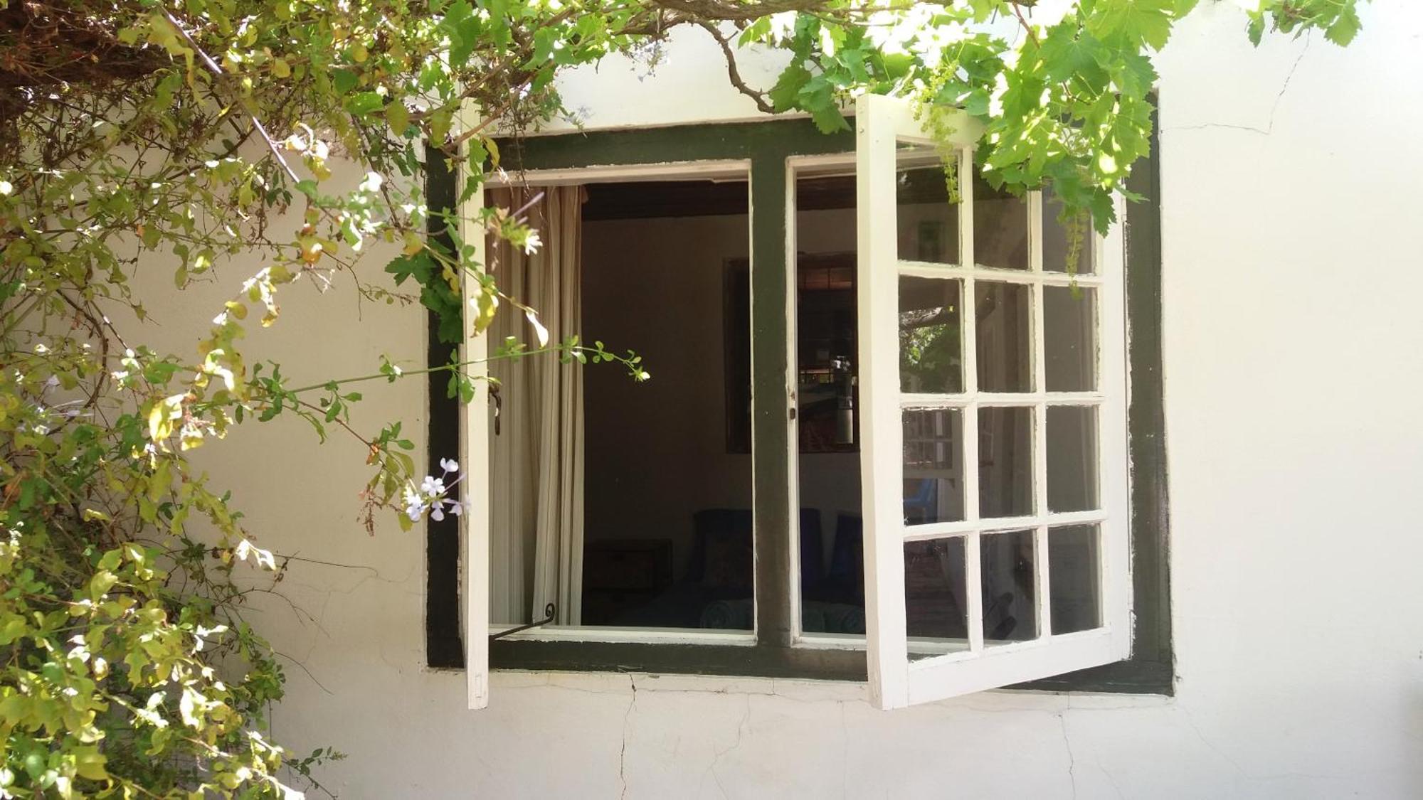 Willa Alpha Excelsior Guest Farm Clanwilliam Pokój zdjęcie