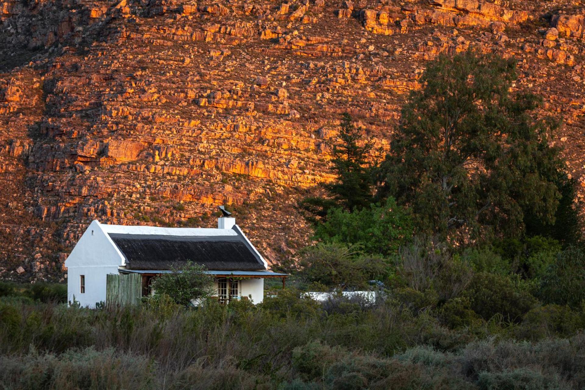 Willa Alpha Excelsior Guest Farm Clanwilliam Zewnętrze zdjęcie